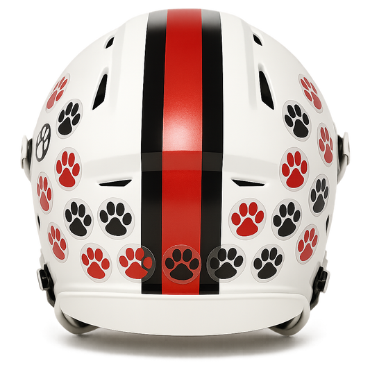 Custom Helmet Award Decals